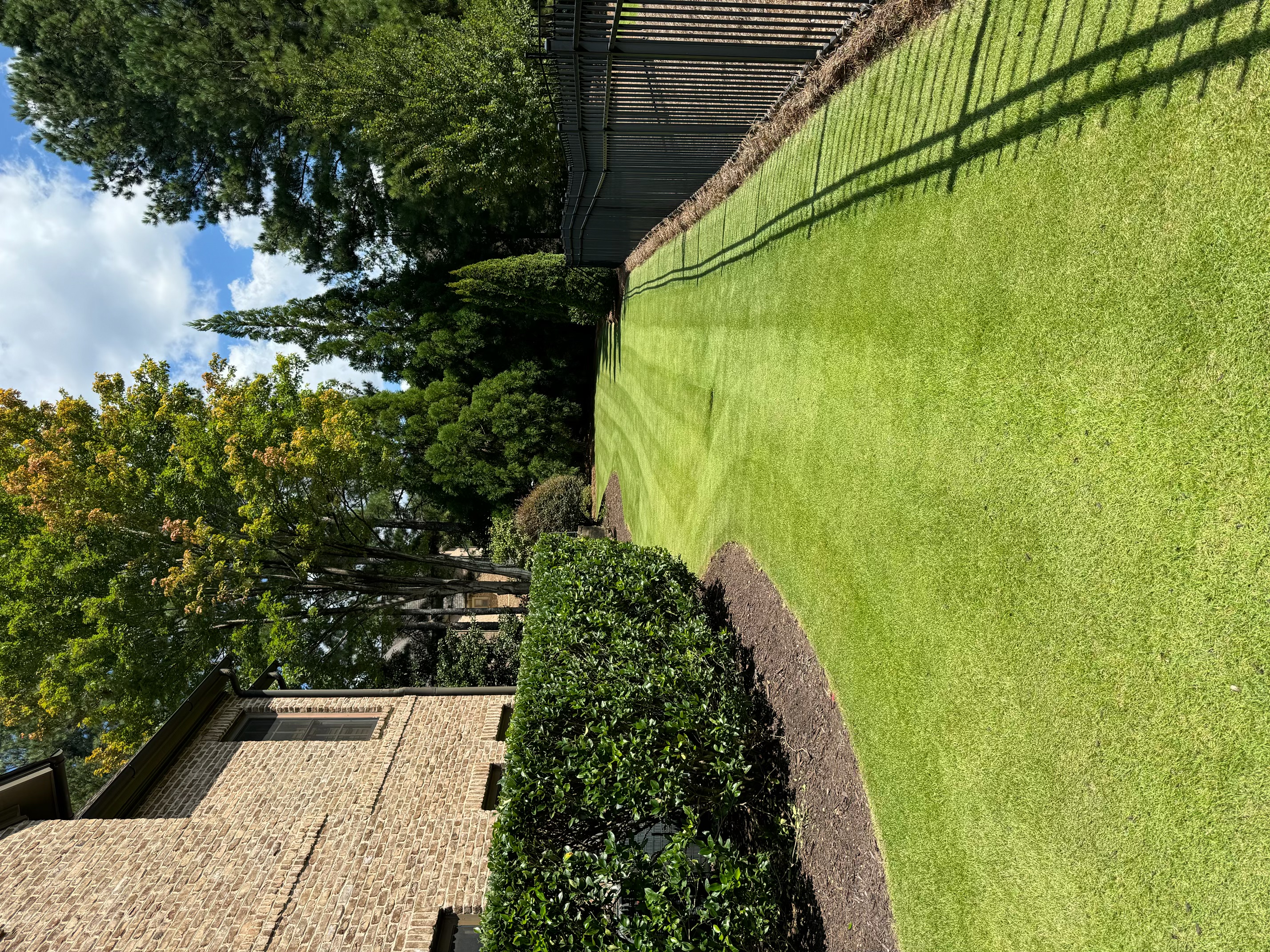 Backyard landscaping