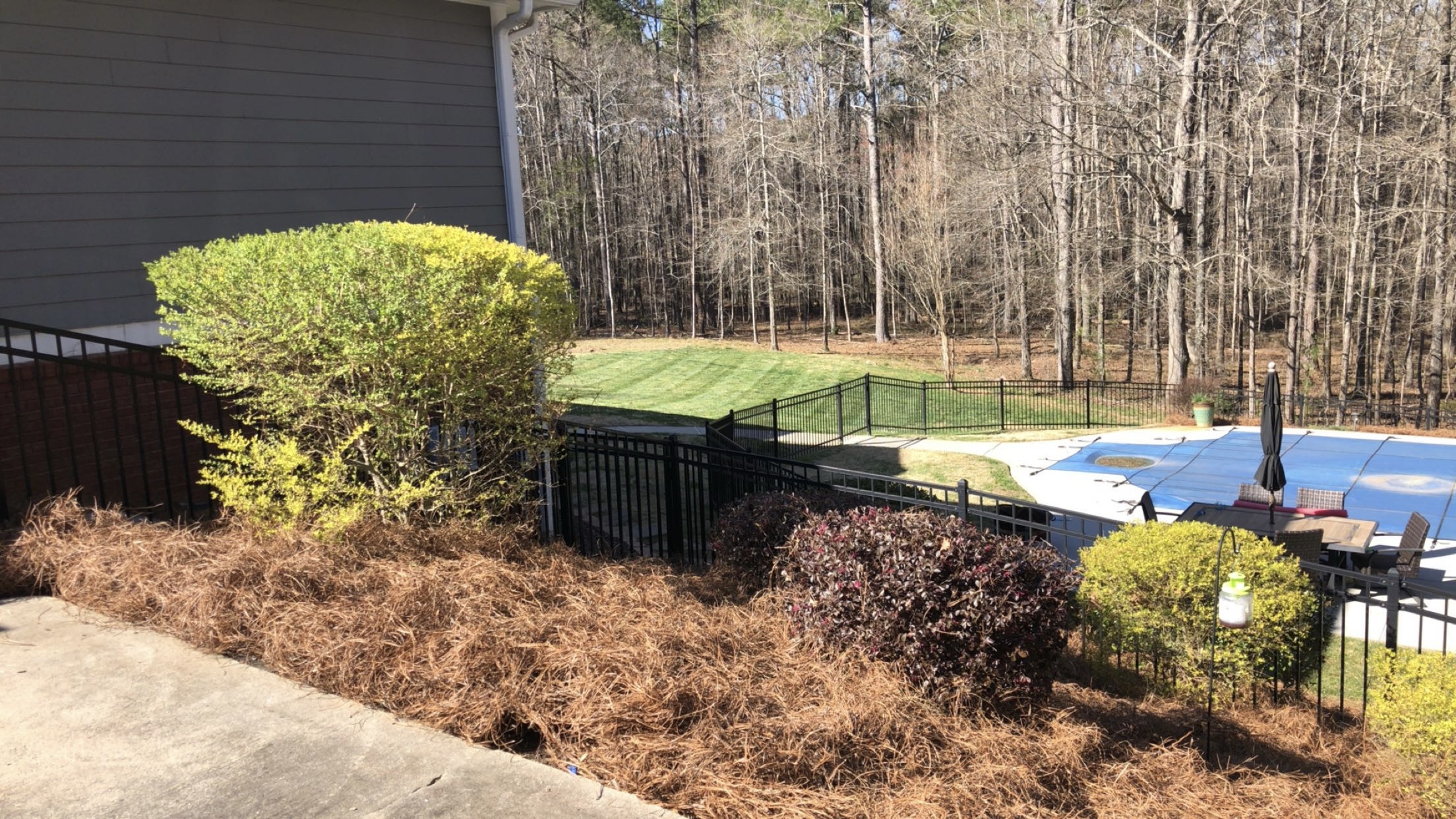 Bush trimming & landscaping