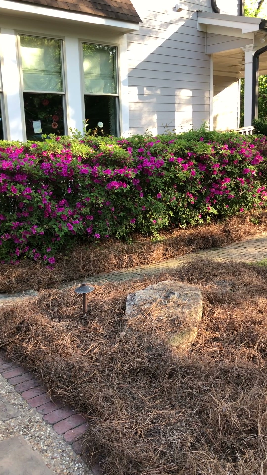 Pond & Water Feature